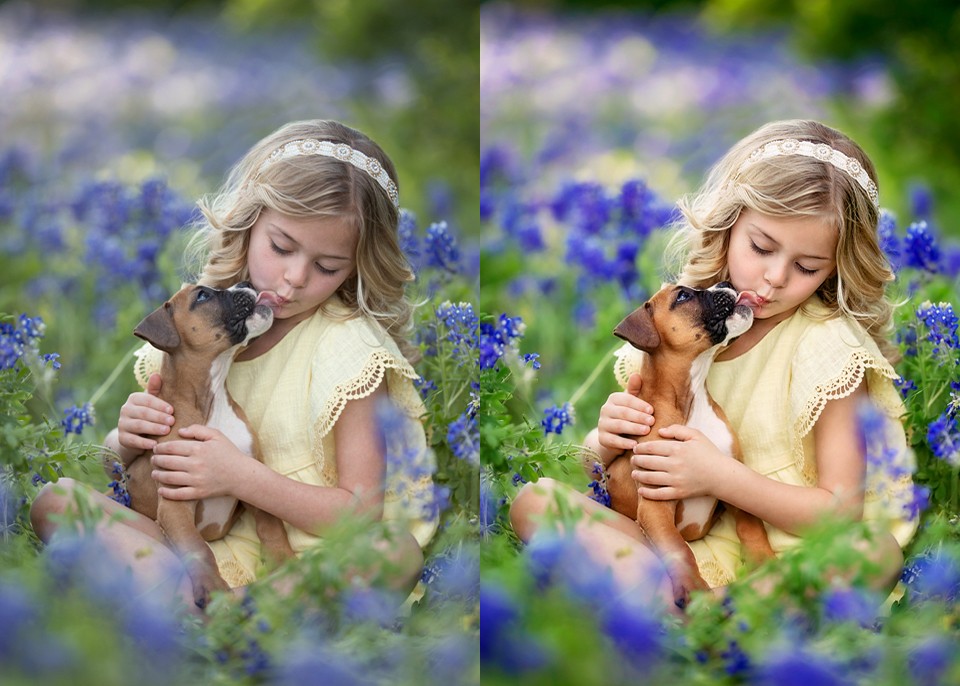 Afbeeldingsresultaat voor Color-Pop Photoshop Action