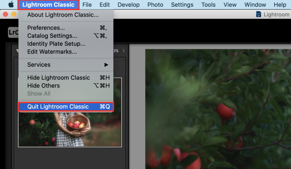 How To Install Lightroom Brushes Greater Than Gatsby