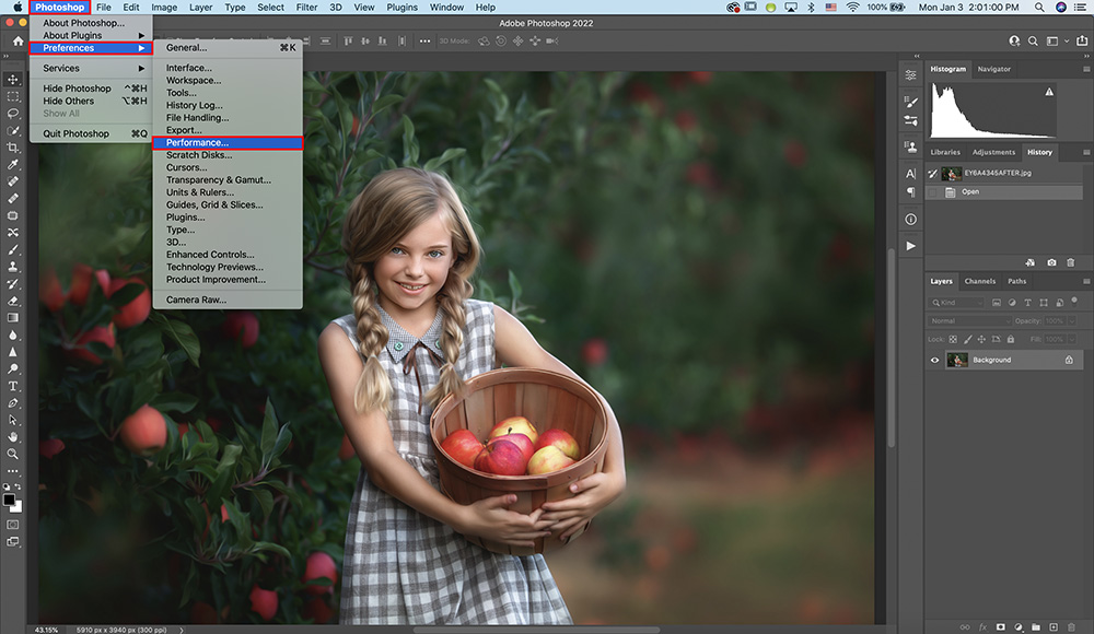adobe photoshop can it be download more than one computer