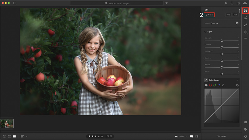 Install Lightroom Presets